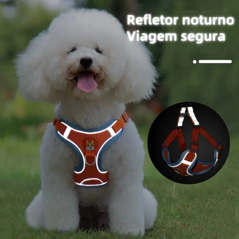 Guia e Colete para Cães e Gatos de Pequeno e Médio Porte