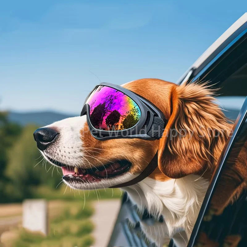 Óculos de Sol para Cães – Ajustáveis, com Proteção UV e Fáceis de Colocar – Ideais para Passeios ao Ar Livre, Viagens de Carro e Raças de Pequeno a Médio Porte