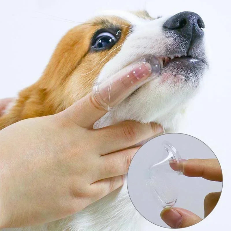 Kit com 5 Escovas de Dedo Supermacias para Higiene Bucal de Cães (Combate Mau Hálito e Tártaro)