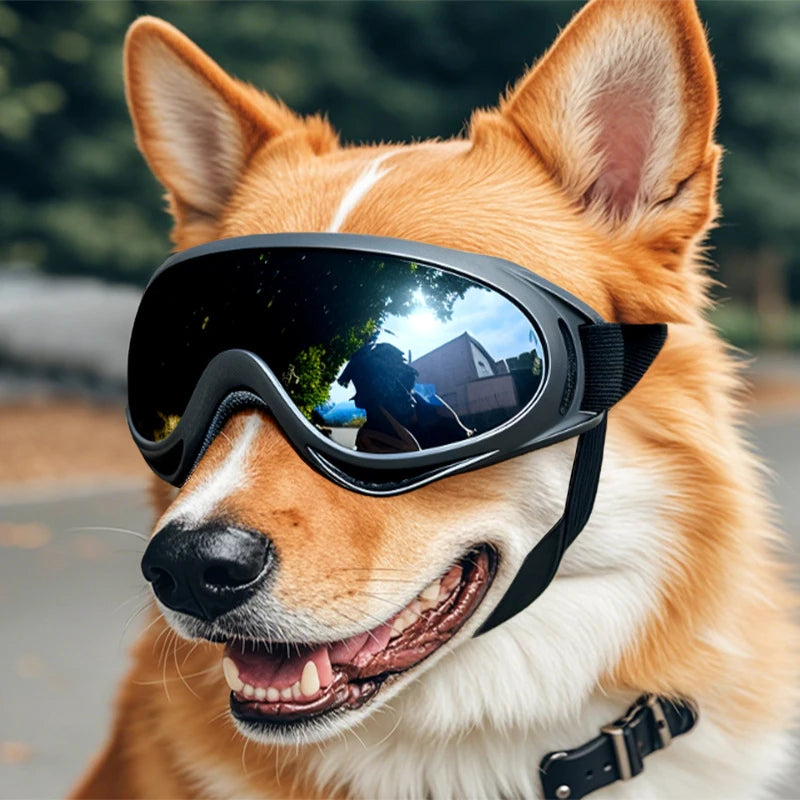 Óculos de Sol para Cães – Ajustáveis, com Proteção UV e Fáceis de Colocar – Ideais para Passeios ao Ar Livre, Viagens de Carro e Raças de Pequeno a Médio Porte